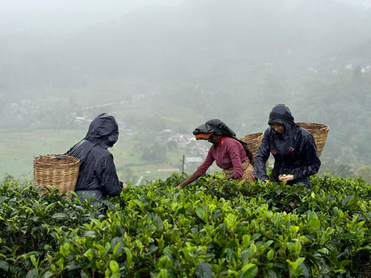 How to Pack Linen Clothes for traveling to hot and tropical climates